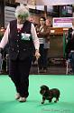 Crufts2011_2 1010